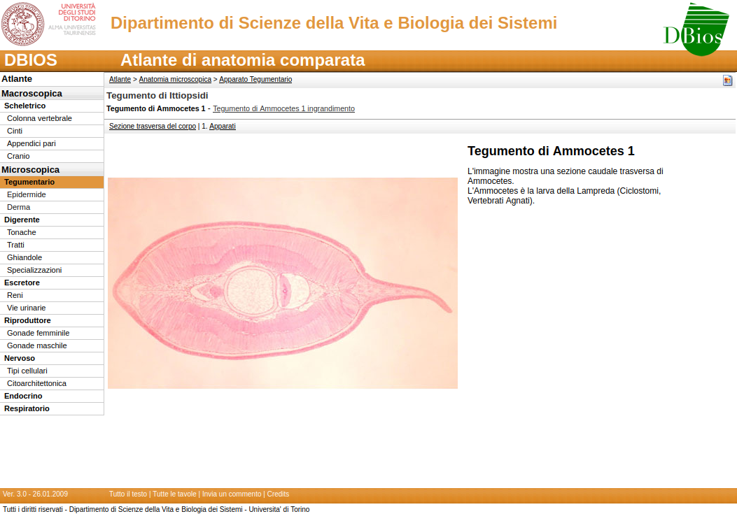 Thumbnail atlante anatomia comparata