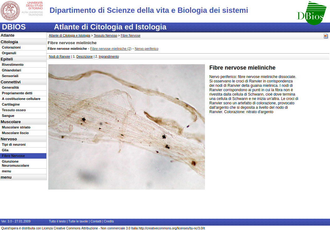 Thumbnail atlante istologia e citologia